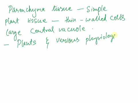 plant-physiology-define-or-describe-a-parenchyma-tissue-22792