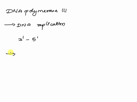 dna-polumerase-iil-synthesizes-the-leading-strand-as-continuous-strand-the-lagging-strand-is-synthesized-in-segments-called-parental-dna-chargaffs-segments-repeating-primers-replisomes-okaza-85848