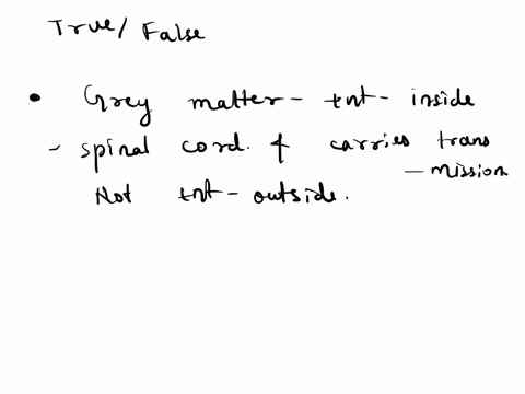 help-with-these-questions-question3-otrue-o-false-grey-matter-is-found-the-outside-portion-of-the-spinal-cord-and-is-responsible-for-intergration-of-information-question4-white-matter-has-an-11554