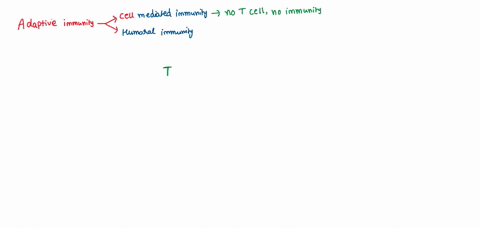although-the-adaptive-immune-system-has-two-arms-it-has-been-said-no-t-cells-no-immunity-explain-05087