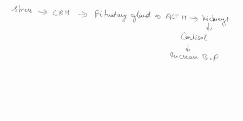 describe-the-integrated-response-to-stress-eg-which-organs-andor-systems-are-mainly-involved-timing-of-response-91808