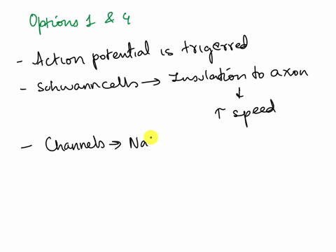 for-a-neuron-that-is-transmitting-an-action-potential-down-the-length-of-its-axon-select-all-the-correct-statements-schwann-cells-special-type-of-glial-cell-insulate-axons-and-hence-increase-76269