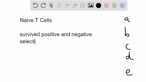 naive-t-lymphocytes-are-described-by-all-these-except-athey-recirculate-through-peripheral-lymphoid-organs-b-they-leave-lymph-nodes-and-enter-infected-tissues-c-they-are-not-able-to-kill-oth-58876