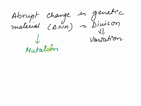 how-do-mutations-contribute-to-organisms-survival-in-an-environment-52967