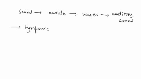 list-the-sequence-of-events-that-correctly-describes-how-sound-waves-are-transmitted-through-the-parts-of-the-ear-1the-ossicles-vibrate-2vibration-of-the-stapes-at-the-oval-window-is-transfe-71668
