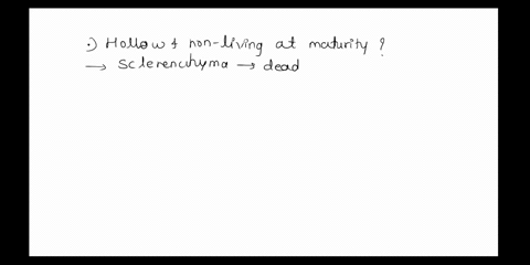 which-of-the-following-cells-are-hollow-and-nonliving-at-maturity-epidermal-cell-parenchymal-cell-tracheid-cell-sieve-tube-cell-companion-cell-52458