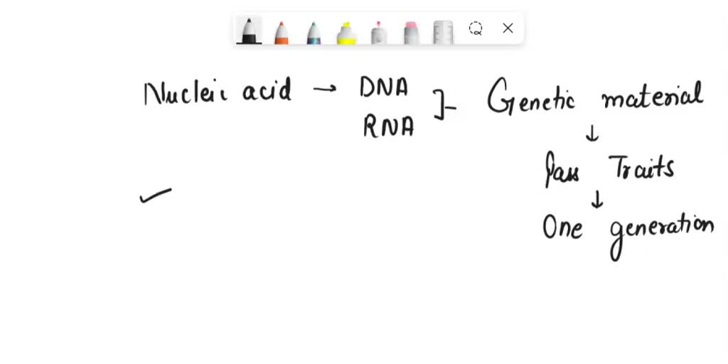 solved-16-which-of-the-following-is-not-a-function-of-nucleic-acids