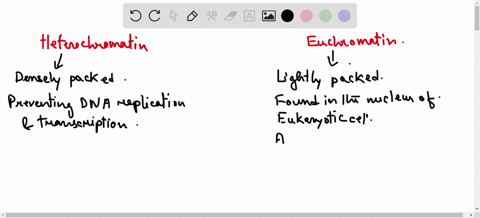 6-define-heterochromatin-and-euchromatin-name-one-structure-within-chromosome-where-vou-would-find-lot-of-heterochromatin-what-the-difference-between-the-level-of-expression-of-genes-that-ar-45806