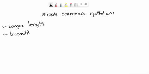 regarding-simple-columnar-epithelium-which-statement-is-least-descriptive-selectone-oamay-contain-goblet-cells-o-bmay-have-motile-cilia-cmay-exhibit-a-microvillous-border-d-the-height-of-eac-09825