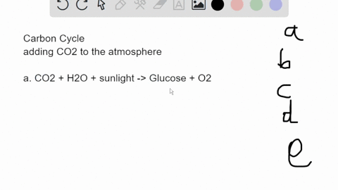 which-of-the-following-processes-increases-the-amount-of-atmospheric-carbon-in-the-carbon-cycle-a-ph-21616