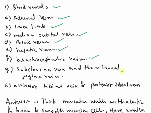 2-which-blood-vessels-adrains-the-adrenal-glands-dv-empties-into-the-external-iliac-vein-c-connects-the-basilic-vein-and-the-cephalic-vein-d-drains-the-pelvic-organs-edrains-the-liver-f-empt-69246