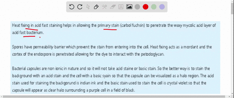 why-does-the-bacterial-smear-needs-to-be-heated-when-performing-acid-fast-staining-and-spore-staining-between-india-ink-and-crystal-violet-which-stains-the-capsule-rationalize-13408