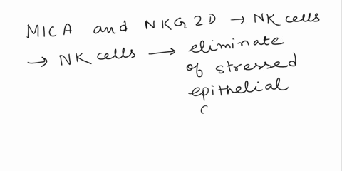 ametabolically-stressed-epithclial-ccll-expresses-the-protein-mic-a-on-its-surface-and-then-interacts-with-a-natural-killer-nk-cell-what-is-the-outcome-of-thls-interaction-mic-a-binds-to-nkg-03685