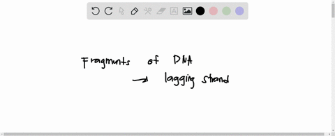 question-24-the-fragments-of-dna-are-joined-together-by-which-of-the-following-enzymes-endonuclease-_-dna-polymerase-primase-gyrase-ligase_-11281