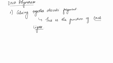 question-1-1-point-what-is-the-function-of-the-enzyme-dna-polymerase-gluing-together-okazaki-fragments-joining-together-nucleotides-during-replication-unzipping-the-two-strands-of-dna-none-o-24802