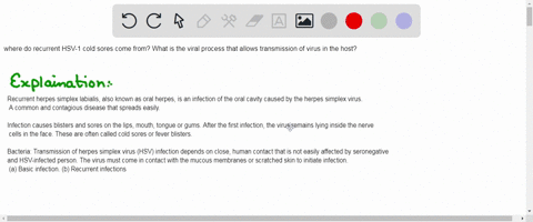 where-do-recurrent-hsv-1-cold-sores-come-from-what-is-the-viral-process-that-allows-transmission-of-virus-in-the-host-87258