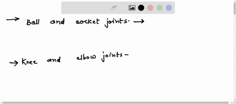 what-are-some-of-the-differences-between-ball-and-socket-joints-knee-and-elbowjoints-05047