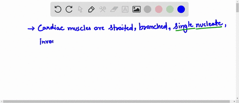 question-24-which-of-the-following-characteristics-is-not-a-property-of-cardiac-muscles-intercalated-di-ts-multinuclcated-striated-involuntary-control-02686
