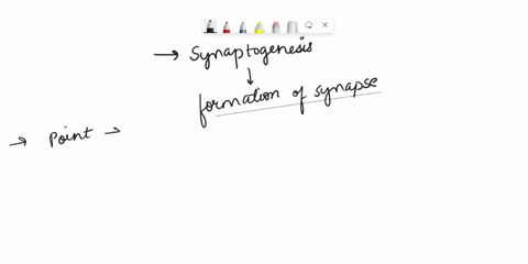 a-key-component-of-developing-neural-circuits-is-the-ability-for-synapses-to-form-what-are-some-of-the-molecules-that-initiate-the-synaptogenesis-and-participate-in-the-early-establishment-o-74113