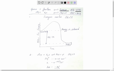 a3-the-synthesis-of-sucrose-from-glucose-and-fructose-is-facilitated-through-the-use-of-atp-as-an-energy-source-the-reaction-equations-for-the-process-with-their-gibbs-energy-signs-are-shown-26288