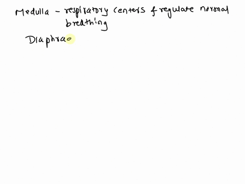 question6-which-of-the-following-statements-are-true-of-the-nervous-regulation-of-respirationread-carefully-and-select-all-of-the-correct-statements-athe-inspiration-and-expiration-centers-a-18168
