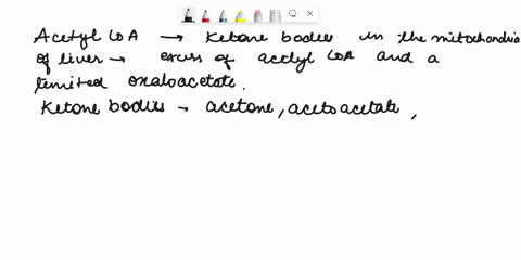 question-6-points-what-is-the-outcome-of-the-accumulation-of-acetyl-coa-in-the-mitochondria-of-the-iver-it-is-used-as-an-energy-source-it-has-broken-down-in-to-free-fatty-acids-it-gets-conve-32193