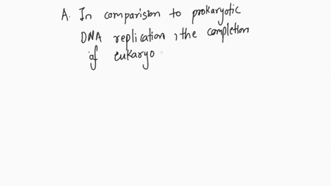 what-is-unique-about-the-dna-of-a-prokaryote-38114