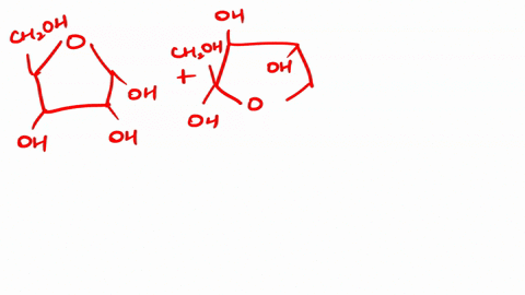draw-the-disaccharide-d-ribose-12-d-fructose-is-it-a-reducing-sugar-52902