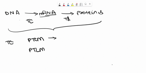 below-is-a-list-of-steps-of-eukaryotic-pre-mrna-processing-please-select-the-choice-that-lists-the-steps-in-the-correct-sequential-order-1-recognition-and-binding-the-3-aauaaa-sequence-by-sp-68005