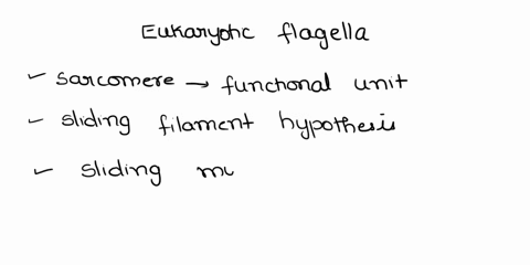 what-do-eukaryotic-and-prokaryotic-flagella-movement-have-in-common-a-they-both-require-depolymerization-of-microtubules-b-they-both-involve-microtubule-and-kinesin-interactions-c-none-of-th-60695