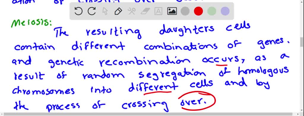 SOLVED: ACTIVITY E: COMPARING MITOSIS AND MEIOSIS Compare and contrast