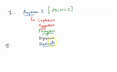 19-which-of-the-following-occurs-in-prophase-that-does-not-occur-in-prophase-ii-a-chromosomes-move-to-the-middle-of-the-cell-b-spindle-formation-occurs-c-chromosomes-are-duplicated_-d-crossi-47922