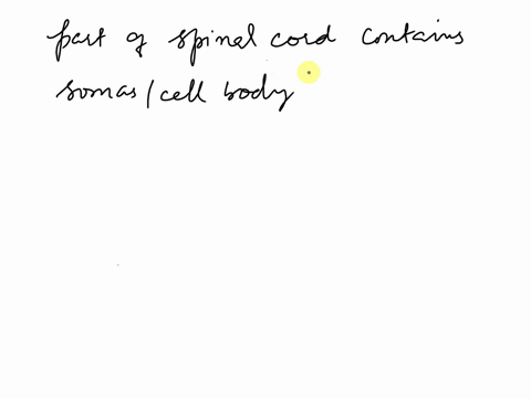 which-part-of-the-spinal-cord-contains-somas-of-somatic-motor-neurons-multiple-choice-a-the-anterior-horns-b-the-posterior-horns-c-the-spinothalamic-tract-d-the-arachnoid-ethe-lateral-horns-62203