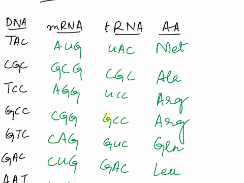 12-for-each-of-the-following-sequenees-fill-in-the-mrna-scquence-the-trna-anticodons-aud-the-amino-acid-sequences_-dna-tac-cgc-tcc-gcc-gtc-gac-aat-acc-act-mrna-al4g-666-trna-aa-dna-acc-ccc-a-22209