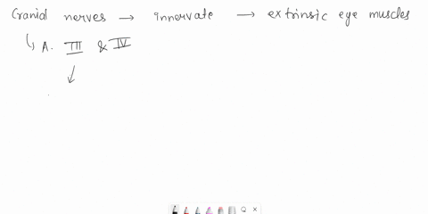 the-cranial-nerves-that-innervate-the-extrinsic-eye-muscles-are-select-one-o-a1iliand-iv-o-biiandv-olandll-dvndvi-o-ellandv-58523