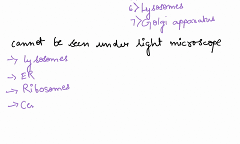 cells-and-organelles-and-things-we-cannot-see-eukaryotic-cells-are-composed-of-units-that-are-visible-under-the-light-microscope-originally-termed-organelles-some-are-membrane-bound-but-some-56534