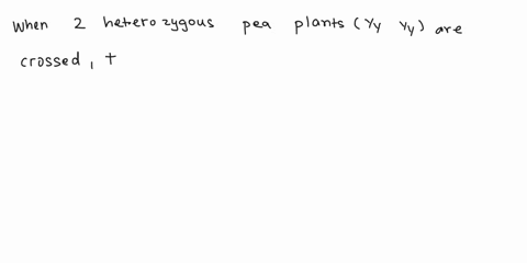 in-mendels-pea-plants-yellow-is-dominant-to-green-the-f2-generation-results-from-crossing-two-of-the-heterozygous-f1-plants-with-each-other-yy-yy-what-do-you-expect-for-the-f2-generation-in-49744