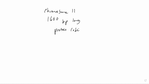 what-is-eric-landers-analogy-for-the-dna-sequence-of-the-entire-human-genome-a-a-needle-in-a-haystack-b-an-automated-assembly-line-c-an-airplanes-parts-list-d-a-phone-book-2-according-to-the-film-what