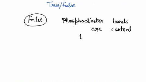 true-or-false-the-2-oh-present-on-a-ribonucleotide-triphosphate-may-be-used-for-formation-of-a-new-phosphodiester-bond-during-transcription-45116