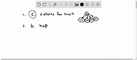 1-according-to-mendels-law-of-segregation-each-organism-contains-a-two-alleles-for-each-trait-separating-at-mitosis-b-one-allele-for-each-trait-separating-at-meiosis-c-two-alleles-for-each-t-29224