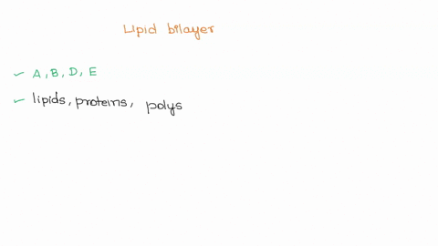 which-of-the-following-statements-are-true-about-lipid-bilayers-one-or-several-correct-answers-are-possible-a-cell-membranes-contain-an-assortment-of-polysaccharides-proteins-and-lipid-molec-08855