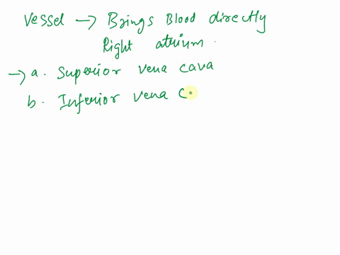 which-is-not-a-vessel-that-brings-blood-directly-into-the-right-atrium-91612