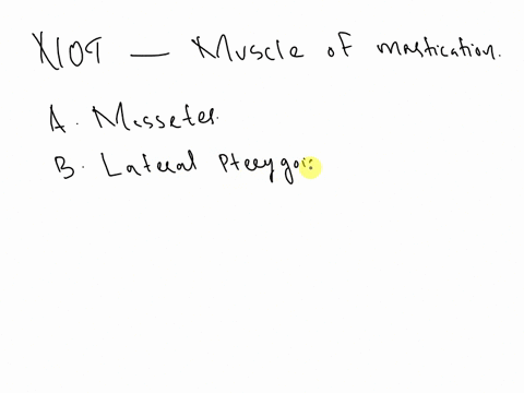 which-of-the-following-is-not-a-muscle-of-mastication-amasseter-blateral-pterygoid-cbuccinator-dtemporalis-11157