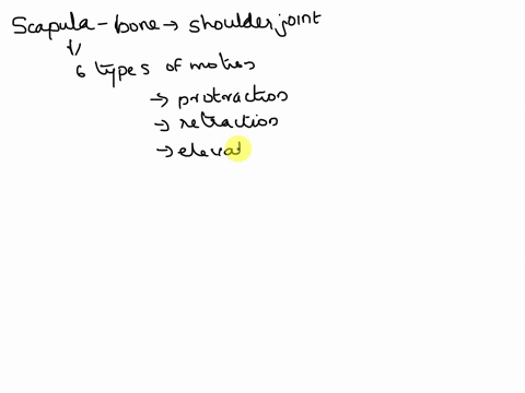 the-action-that-moves-the-scapula-towards-the-head-is-called-__________-99266