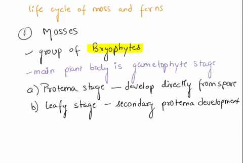 compare-and-contrast-the-life-cycles-of-moss-vs-fern-explaining-in-detail-alternation-of-generations-sporophyte-gametophyte-meiosis-fertilization-haploid-and-diploid-how-the-plant-moves-to-n-38641