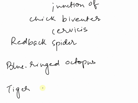what-effect-each-of-the-toxins-redback-spider-blue-ringed-octopus-and-tiger-snake-will-have-on-muscle-contractions-of-the-chick-biventer-cervicis-nerve-muscle-in-response-to-motor-nerve-stim-74049