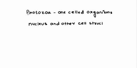 what-is-a-protozoan-how-is-a-protozoan-parasite-diferent-from-bacteria-and-multi-celled-parasites-such-as-intestinal-worms-68376