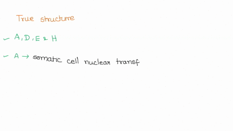 donor-cell-nucleus-from-donor-cell-remove-nucleus-from-egg-cell-add-somatic-cell-from-adult-donor-grow-in-culture-to-produce-a-blastocyst-early-embryo-77782