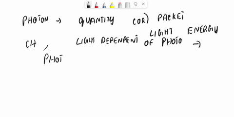 explain-the-physics-of-light-as-it-relates-to-photosynthesis-what-is-a-pigment-what-is-a-photon-98662
