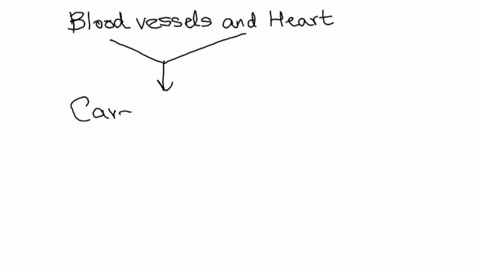 diseases-of-the-blood-vessels-and-heart-are-known-as-respiratory-diseases-true-or-false-53903
